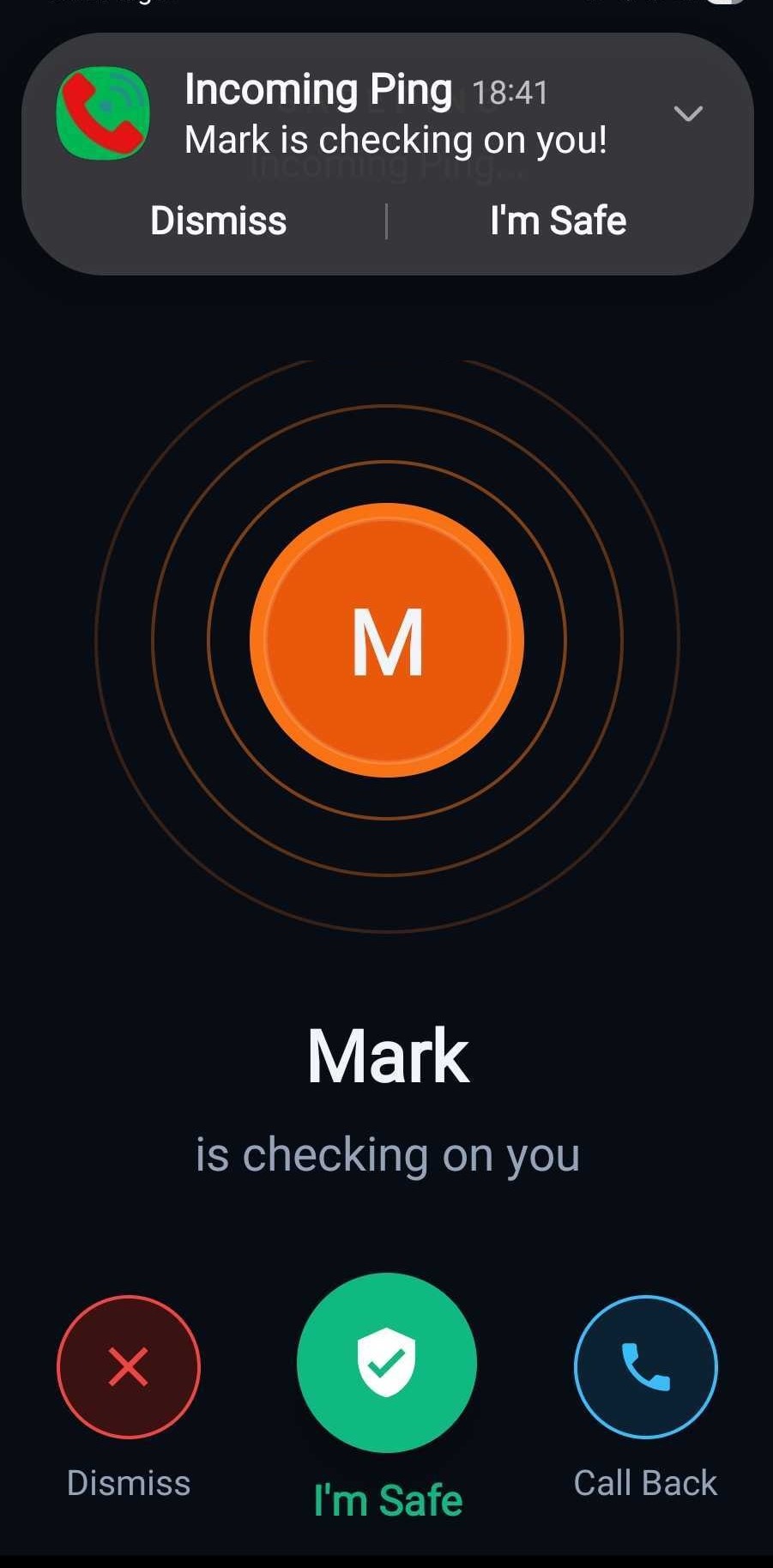 SafePing app showing the Ping screen